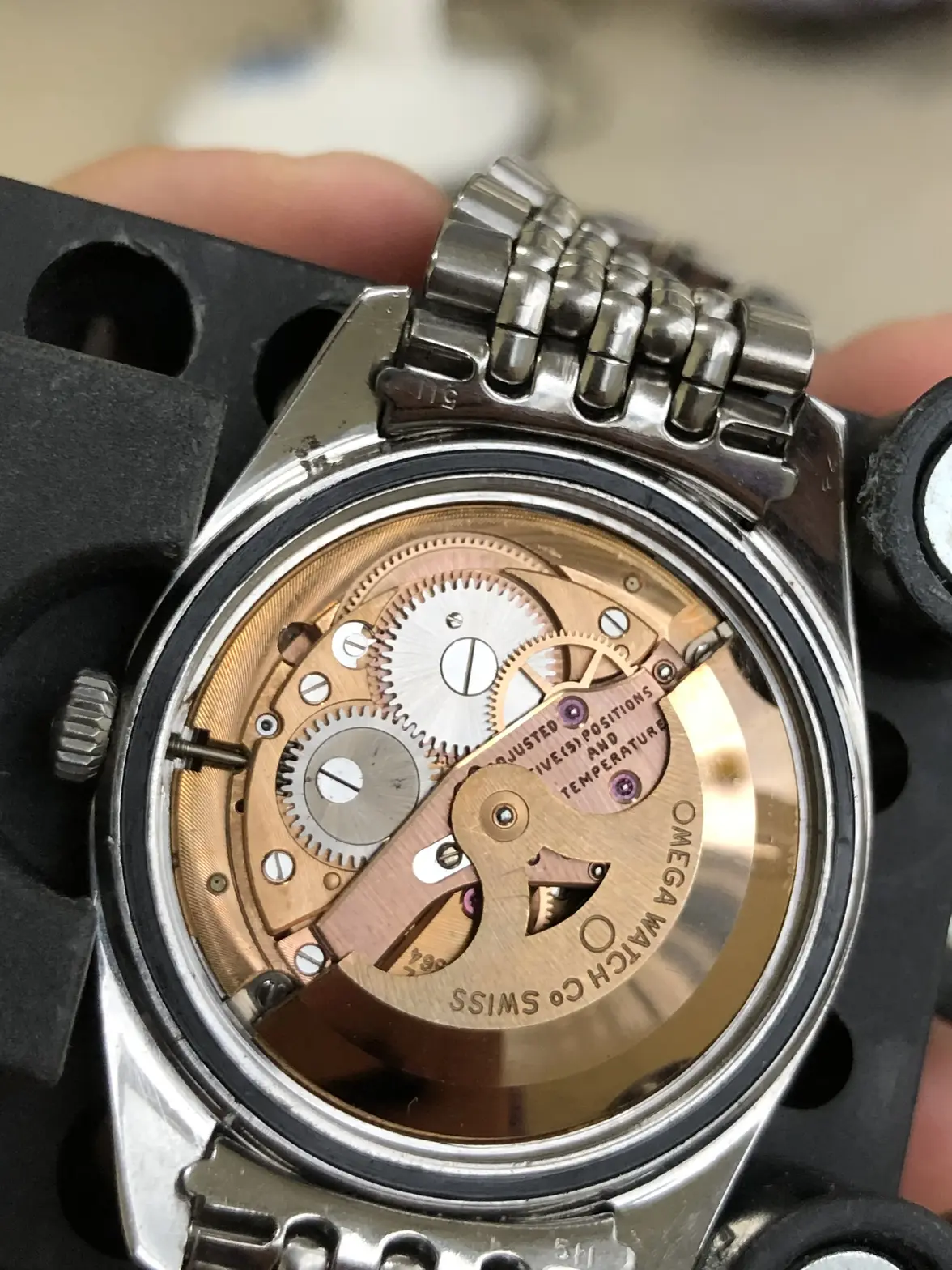 IMG_0284.webp IMG_0284.webp