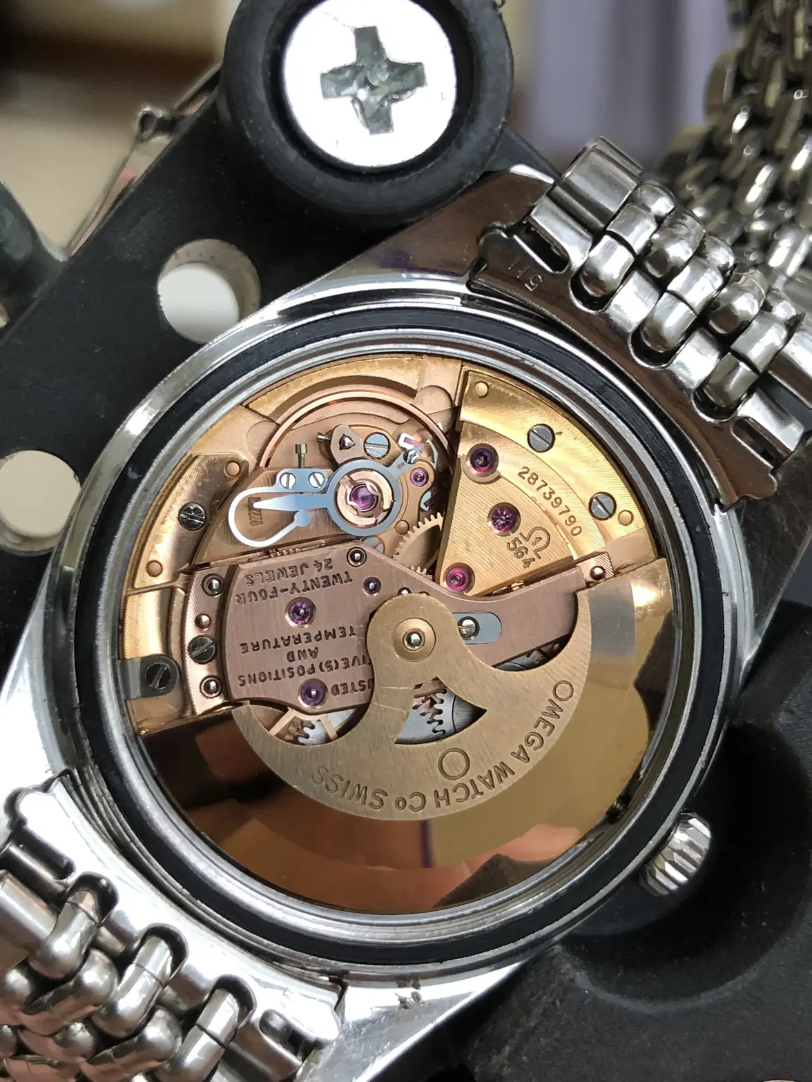 IMG_0285.webp IMG_0285.webp