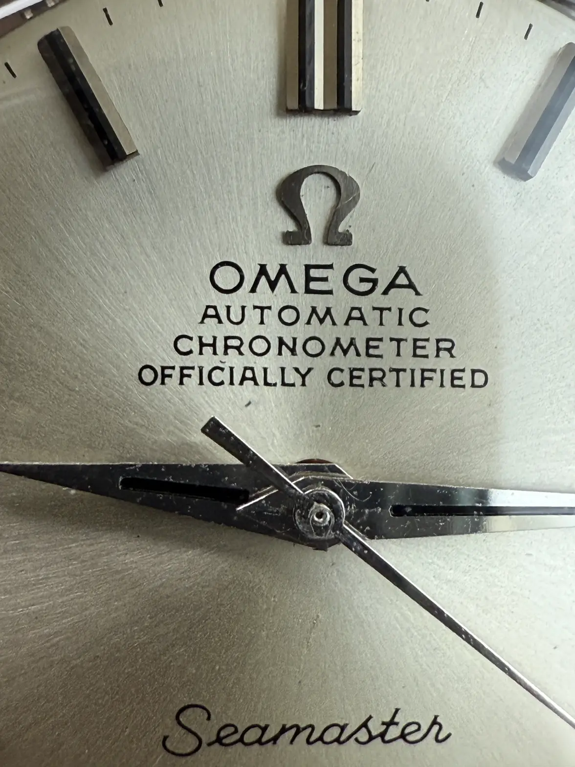 IMG_3503.webp IMG_3503.webp