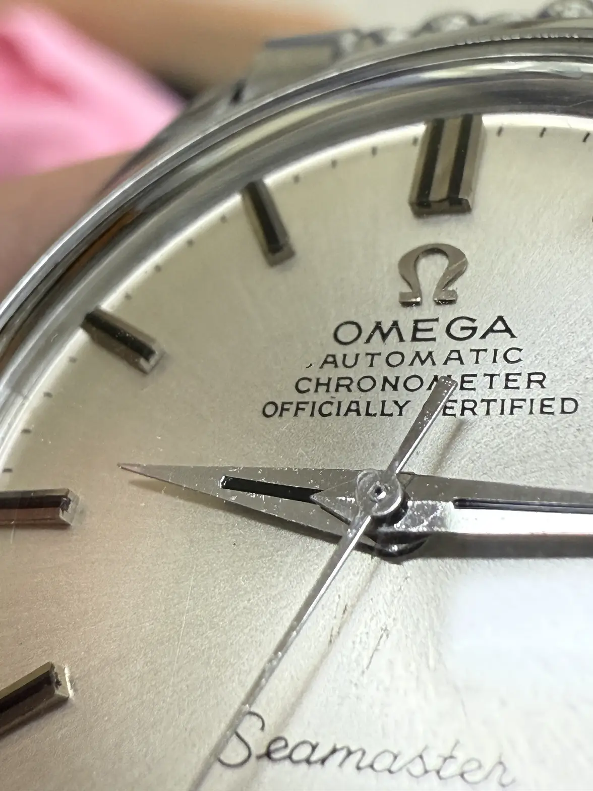 IMG_3504.webp IMG_3504.webp