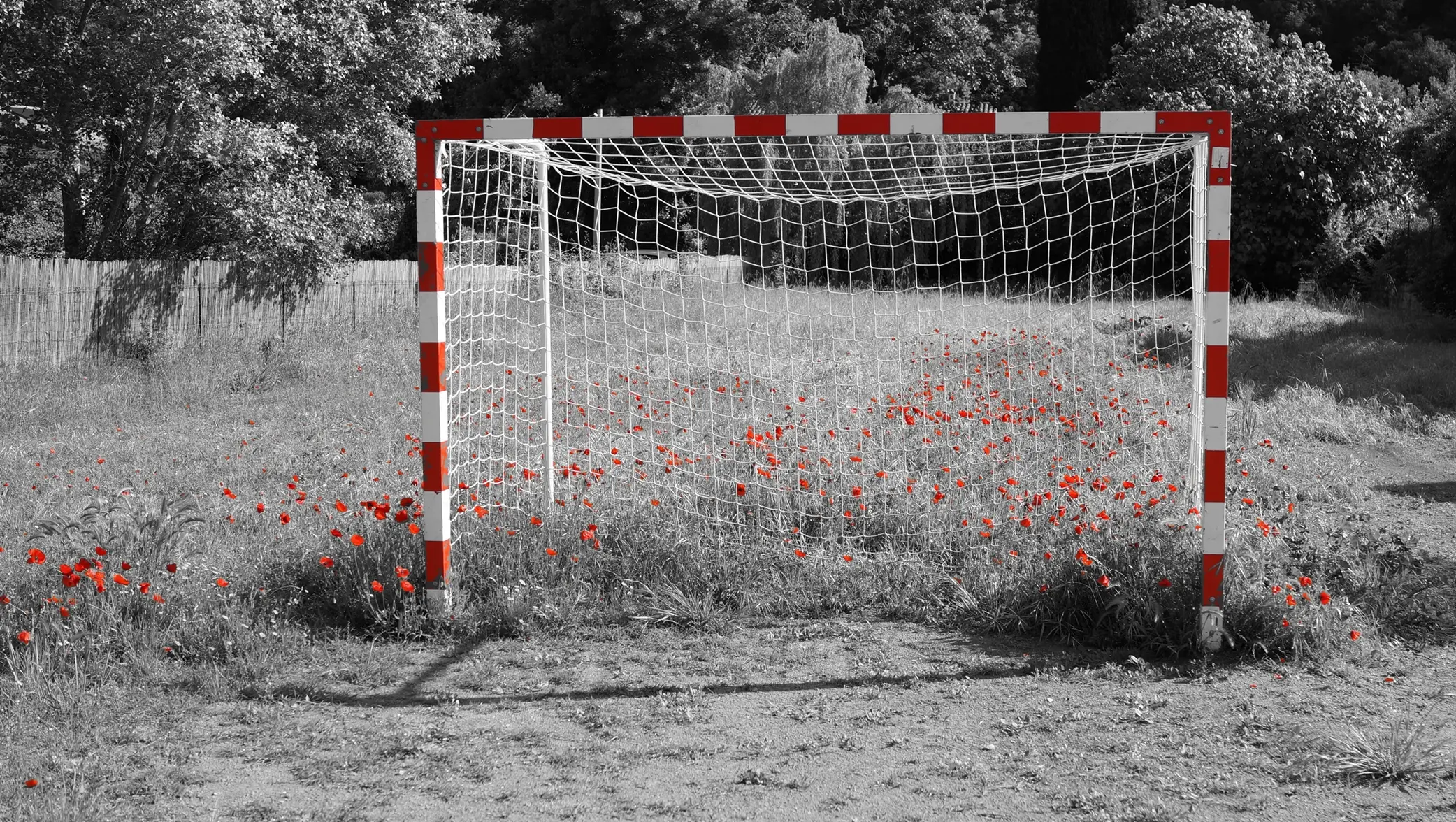 DSC01544a Tor g.webp