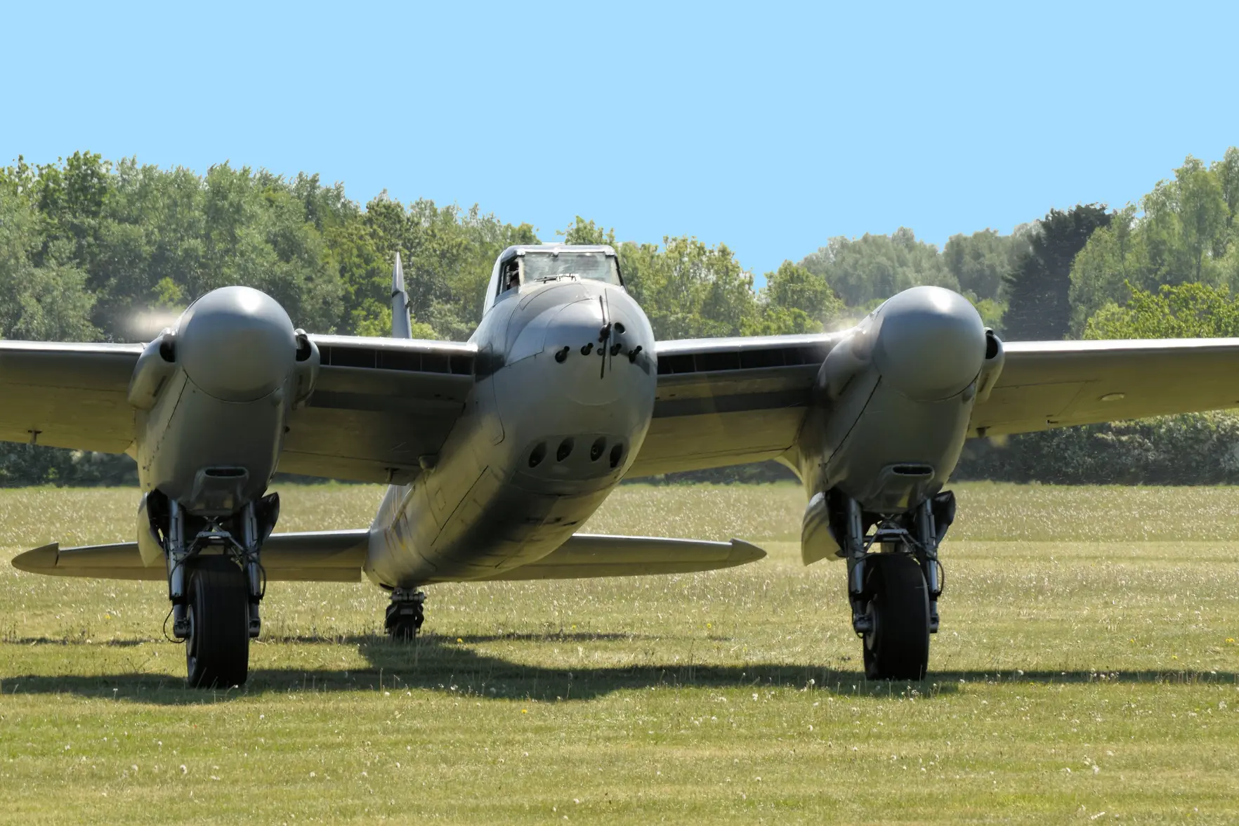 DSC_0409.webp