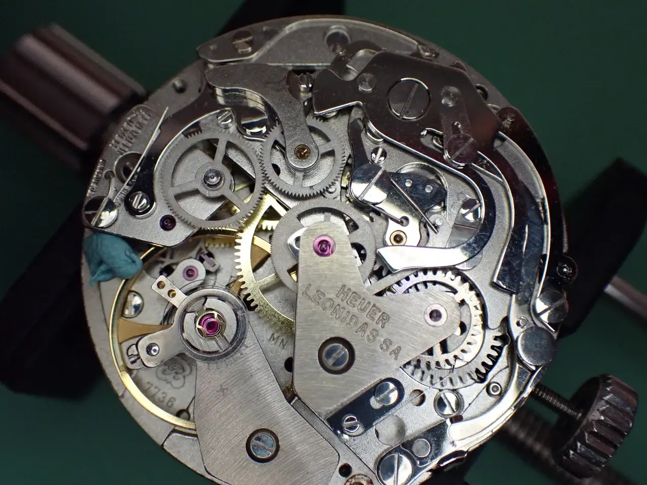 P4256251.webp