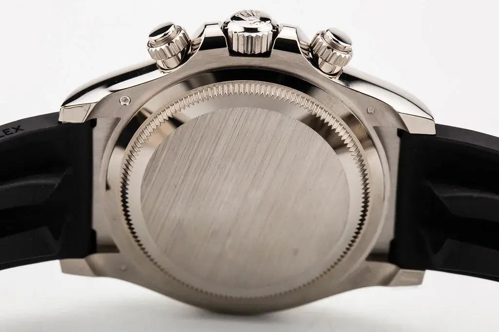 53405539142_09d5e4683d_b.webp 53405539142_09d5e4683d_b.webp