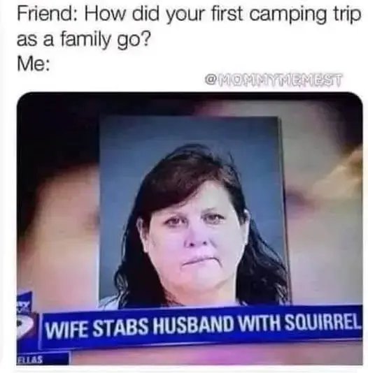 stabbed with squirrel.webp