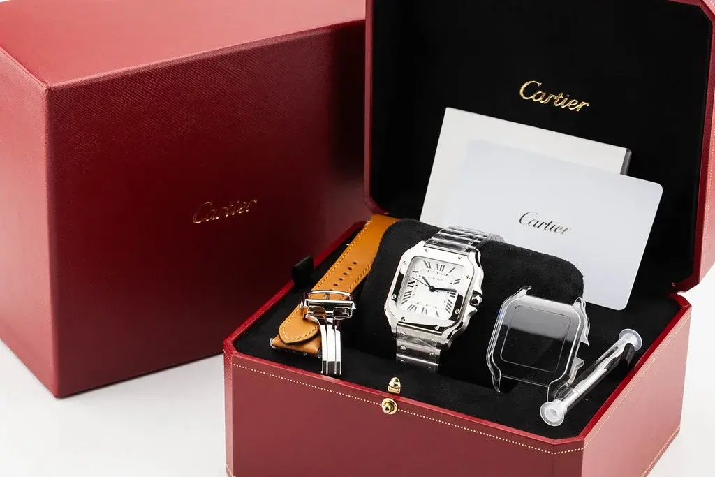 54540241291_1ea7998fde_b.webp 54540241291_1ea7998fde_b.webp