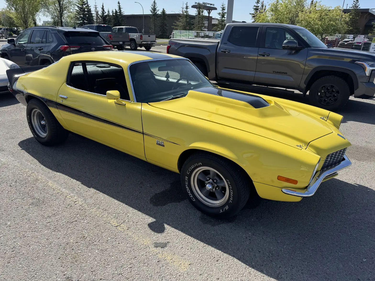 IMG_2677.webp IMG_2677.webp