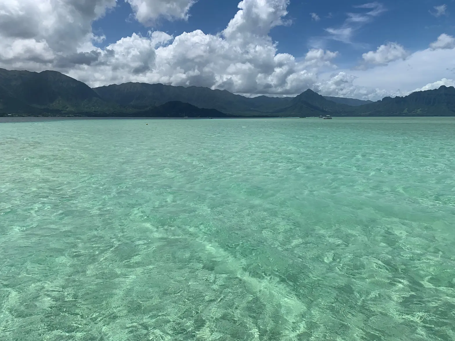 Kaneohe Sandbar.webp