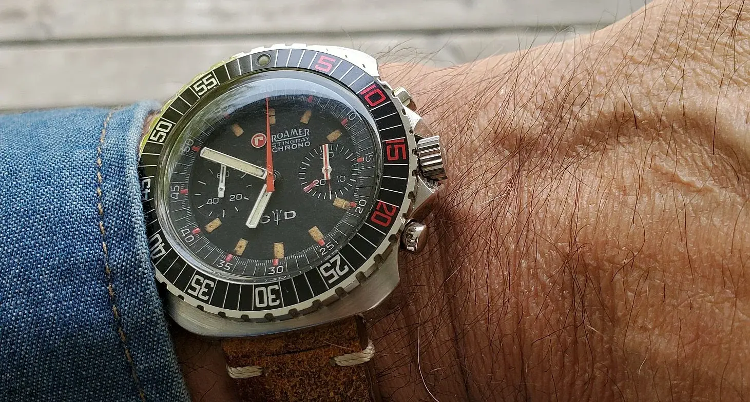 Roamer ws 1 20250531_064957(0).webp