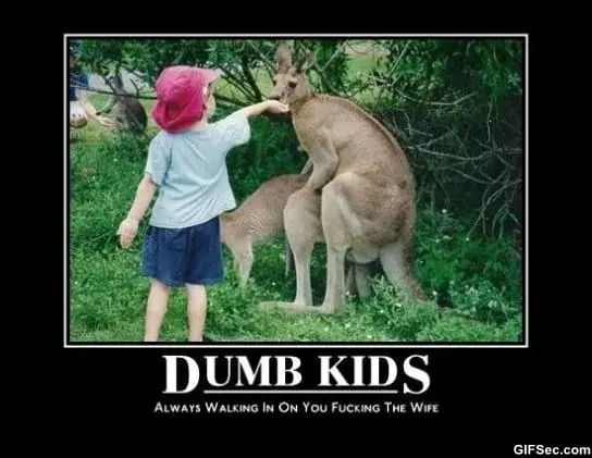 dumb_kids.webp