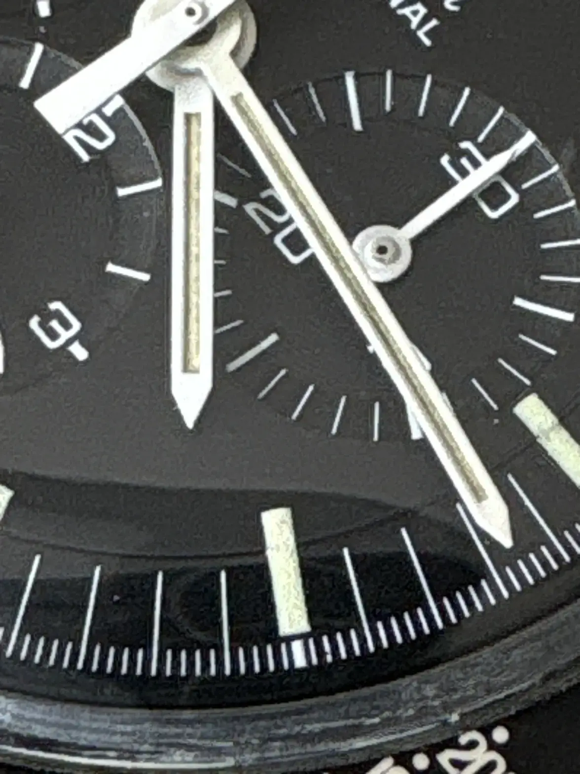 IMG_8088.webp IMG_8088.webp