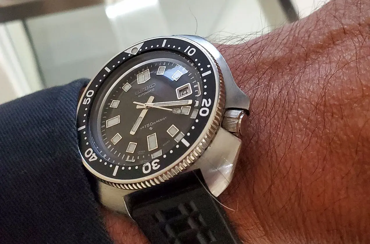 Willard ws 1 20250604_071842.webp