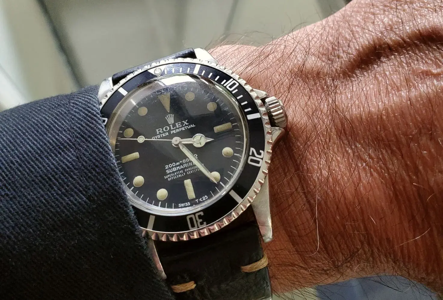 Willard ws 1b 20250604_071842.webp