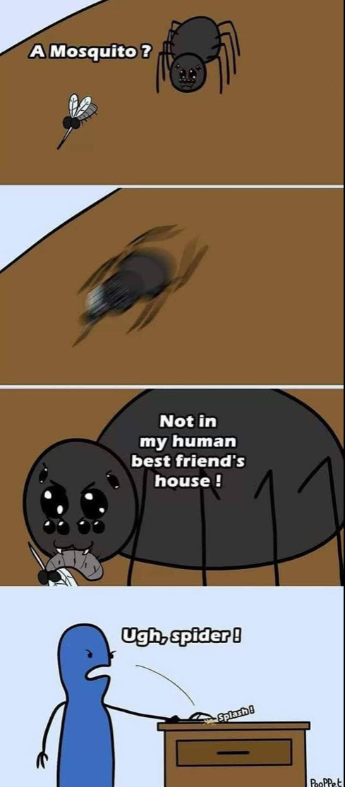 IMG_0391.webp IMG_0391.webp