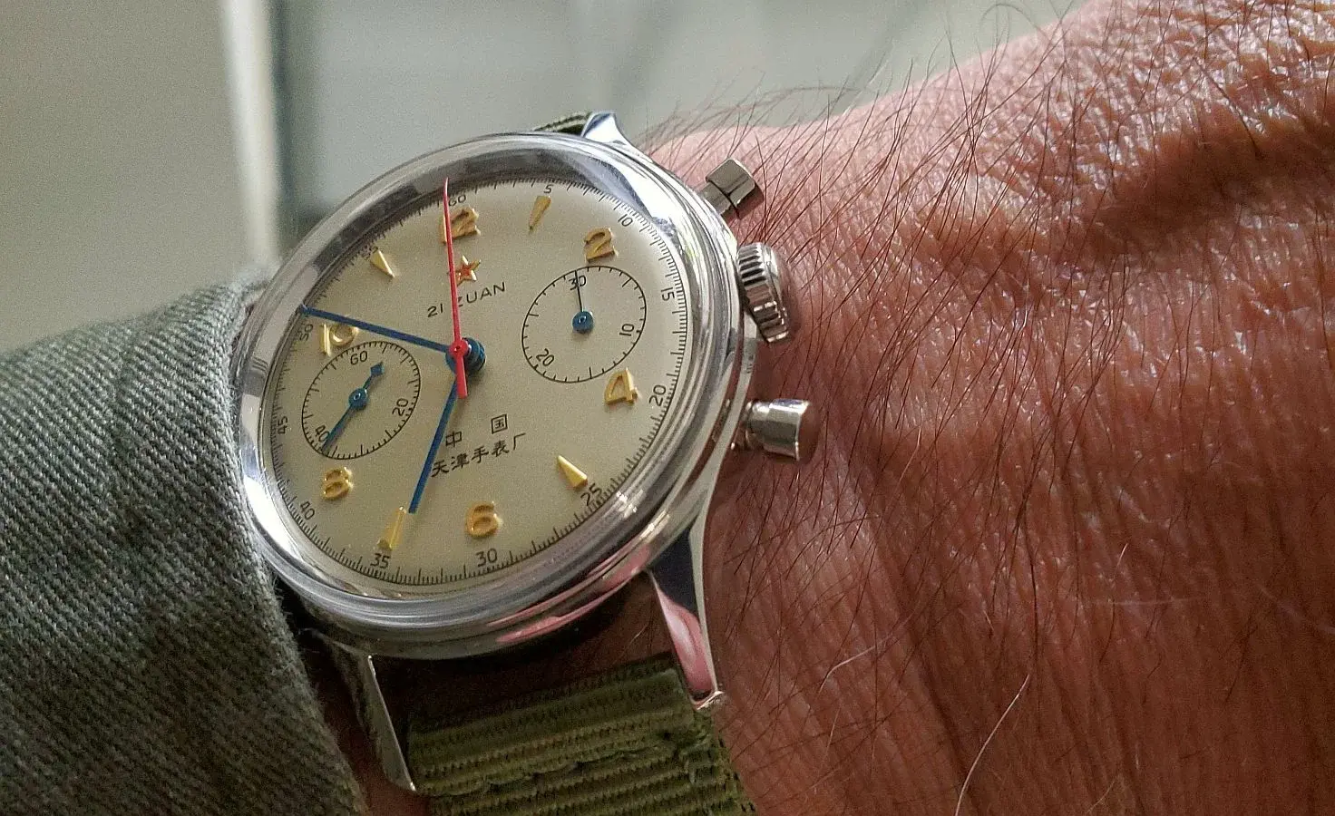 Seagull ws 1b 20250605_065049.webp