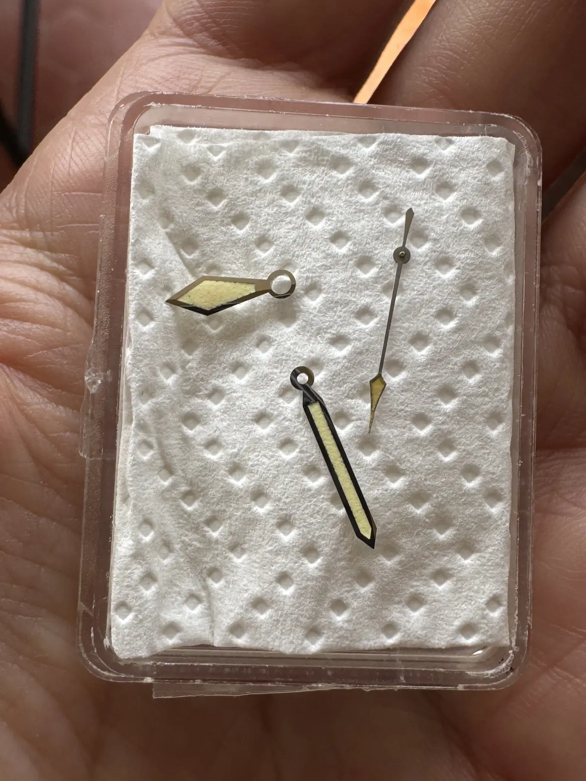 IMG_6726.webp IMG_6726.webp