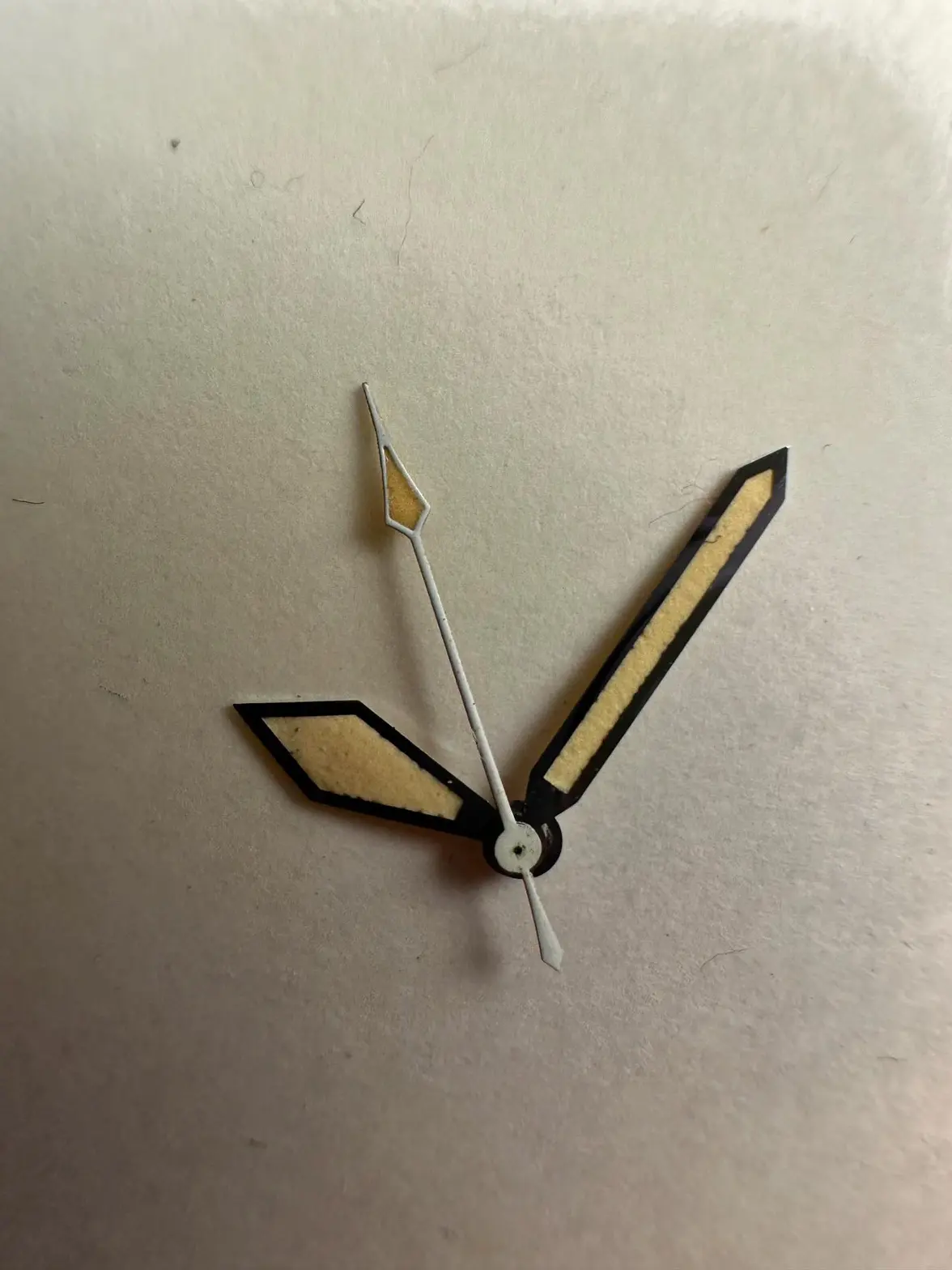 475CB8F6-51C5-4FEE-8B8A-41519246B6AD.webp 475CB8F6-51C5-4FEE-8B8A-41519246B6AD.webp