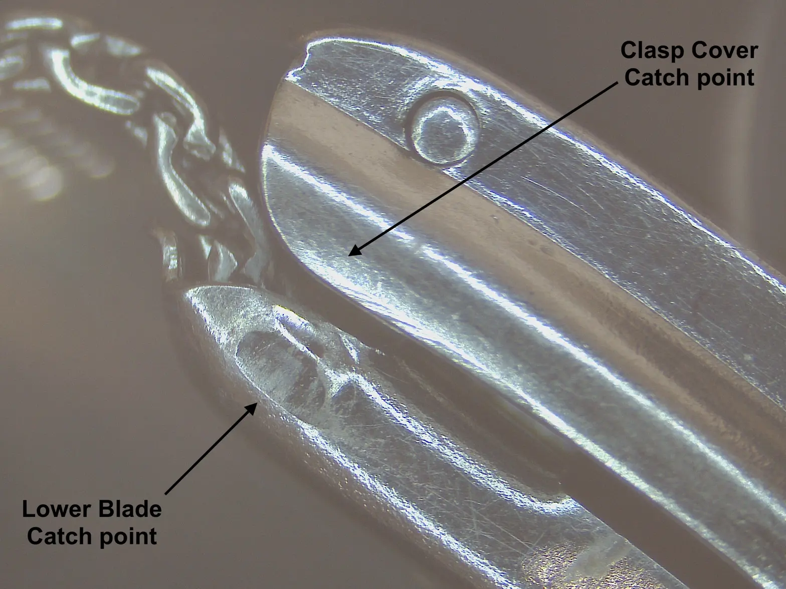 Catch Points.webp Catch Points.webp