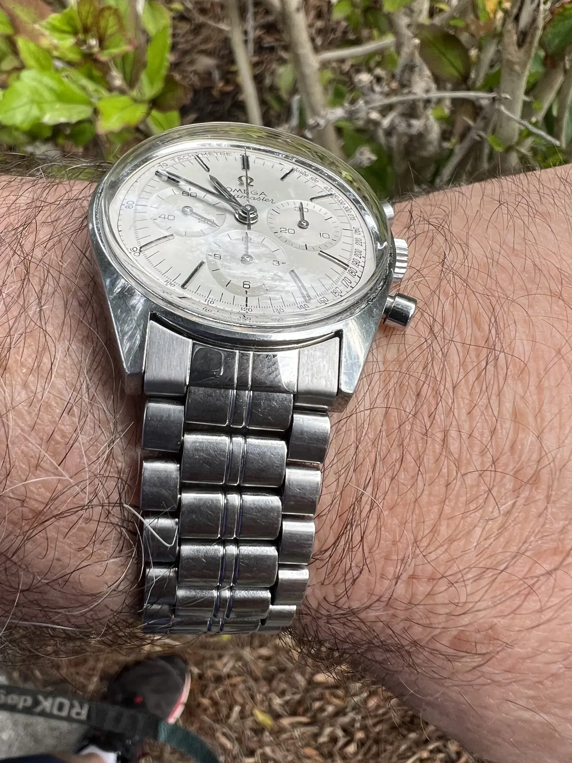 IMG_4663.webp IMG_4663.webp