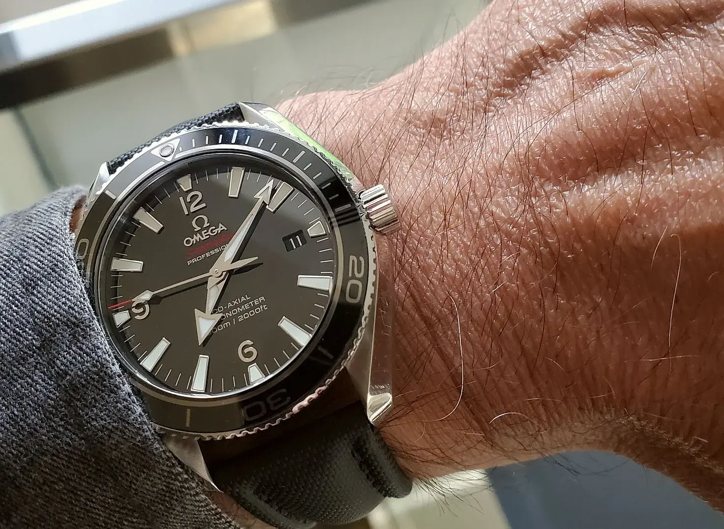 POLM ws 1b 20250611_070903.webp