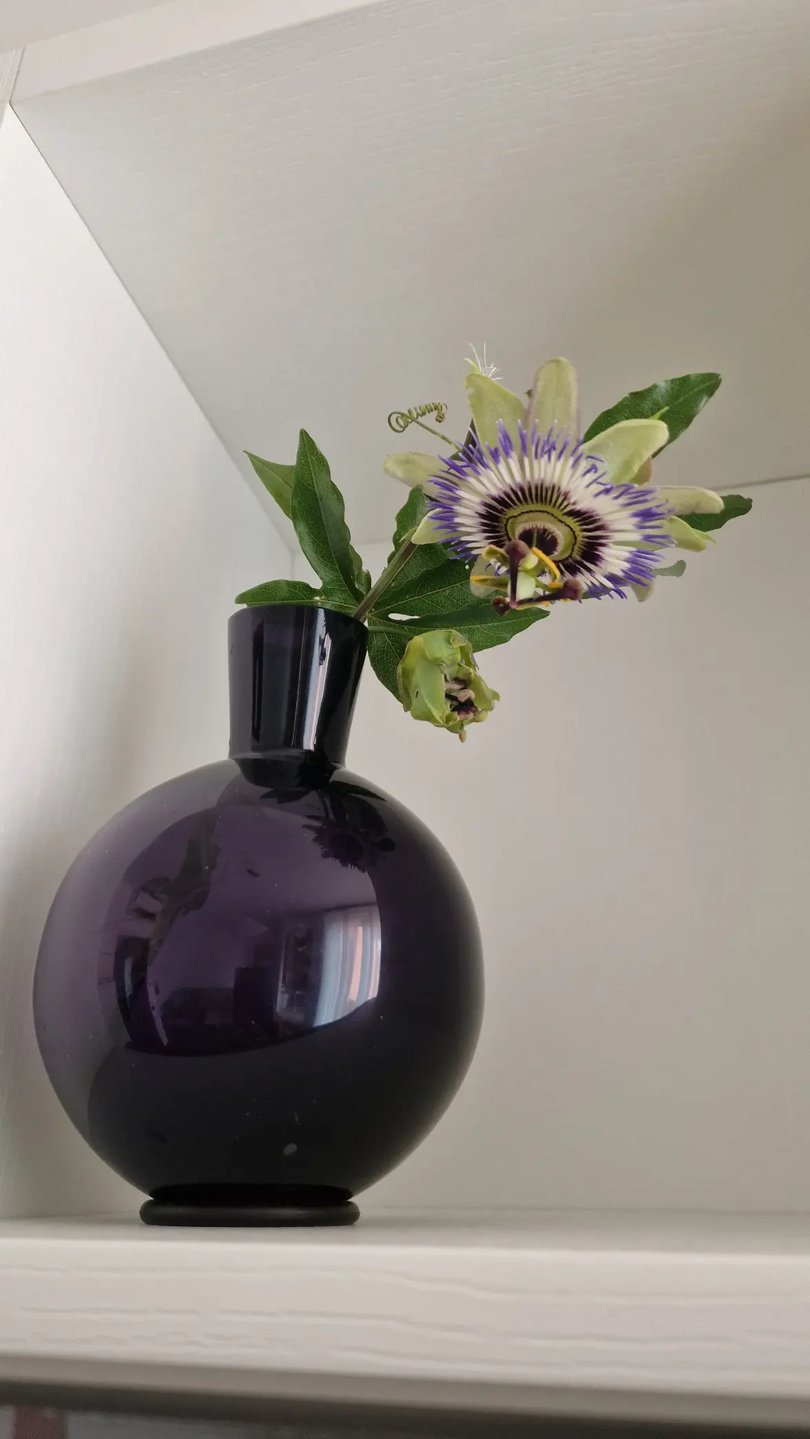 2025_06_11a (1).webp