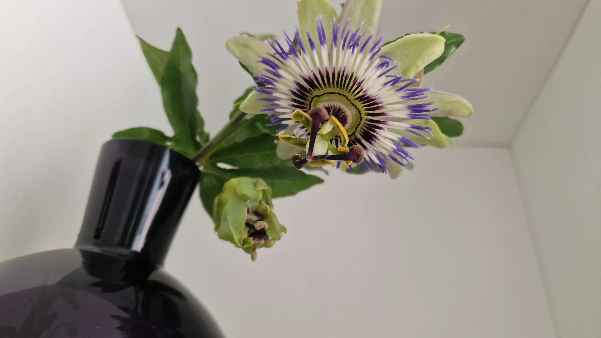 2025_06_11a (2).webp