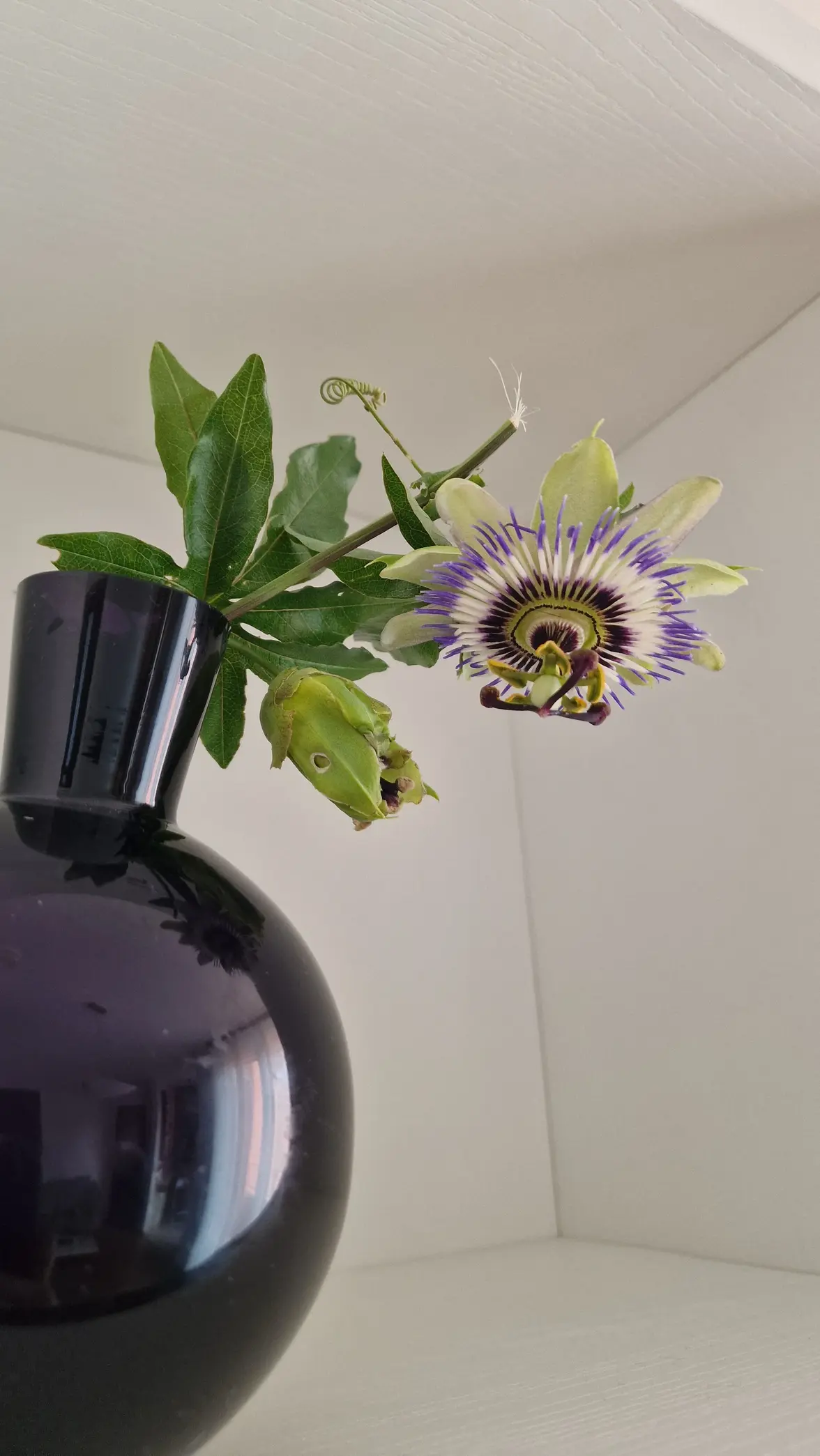 2025_06_11a (4).webp