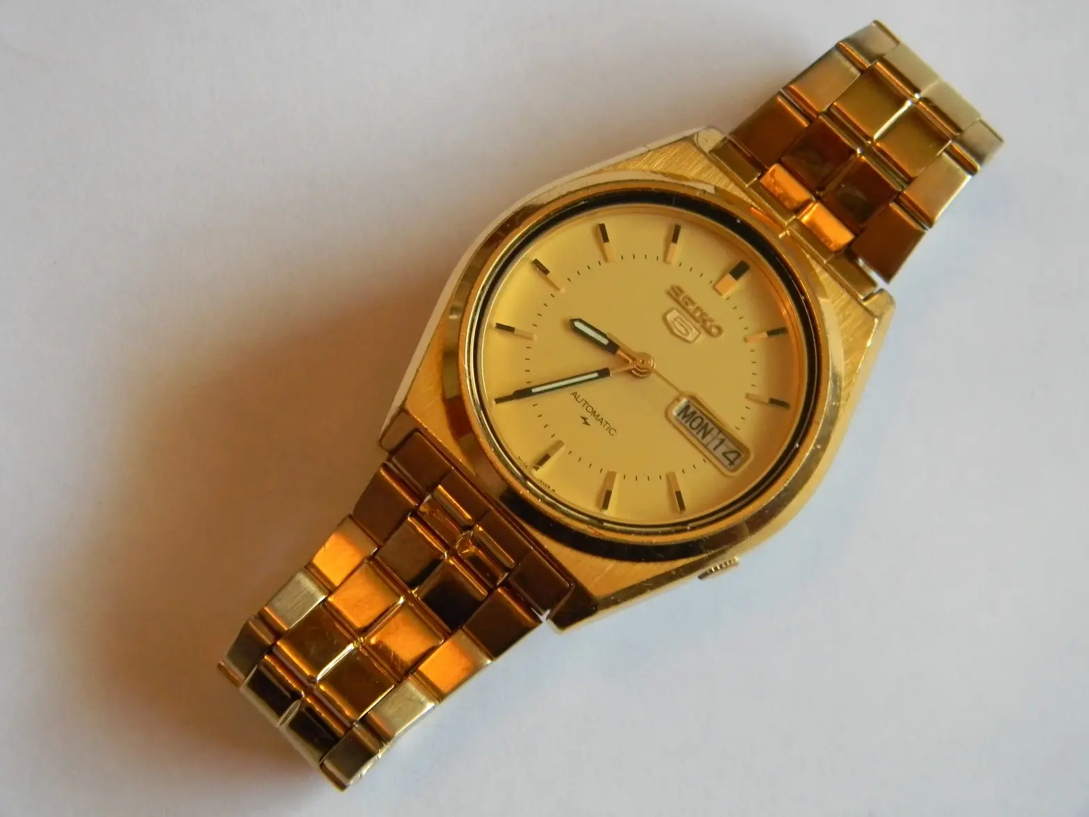 DSCN0635.webp DSCN0635.webp