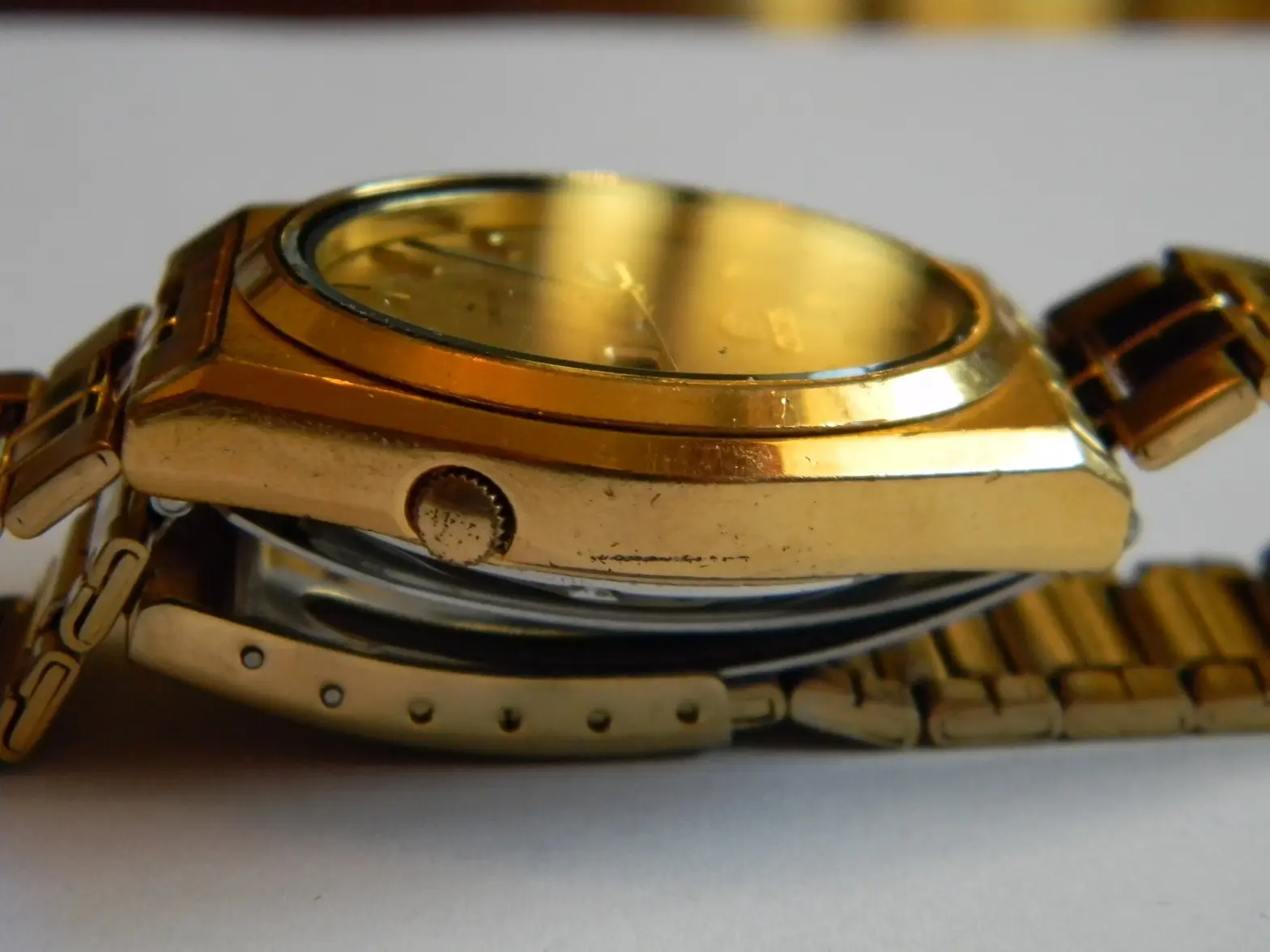 DSCN0636.webp DSCN0636.webp