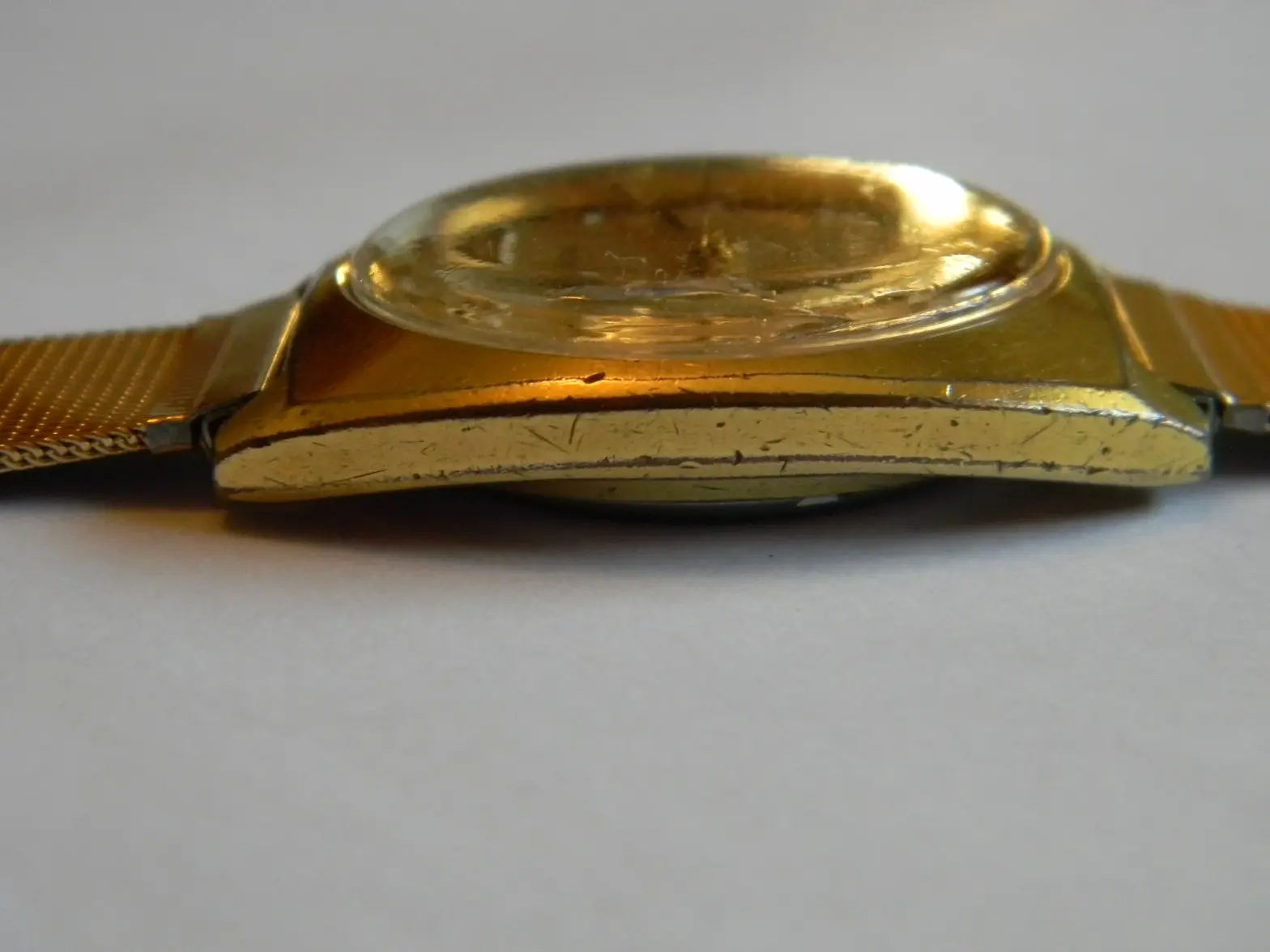 DSCN0617.webp DSCN0617.webp