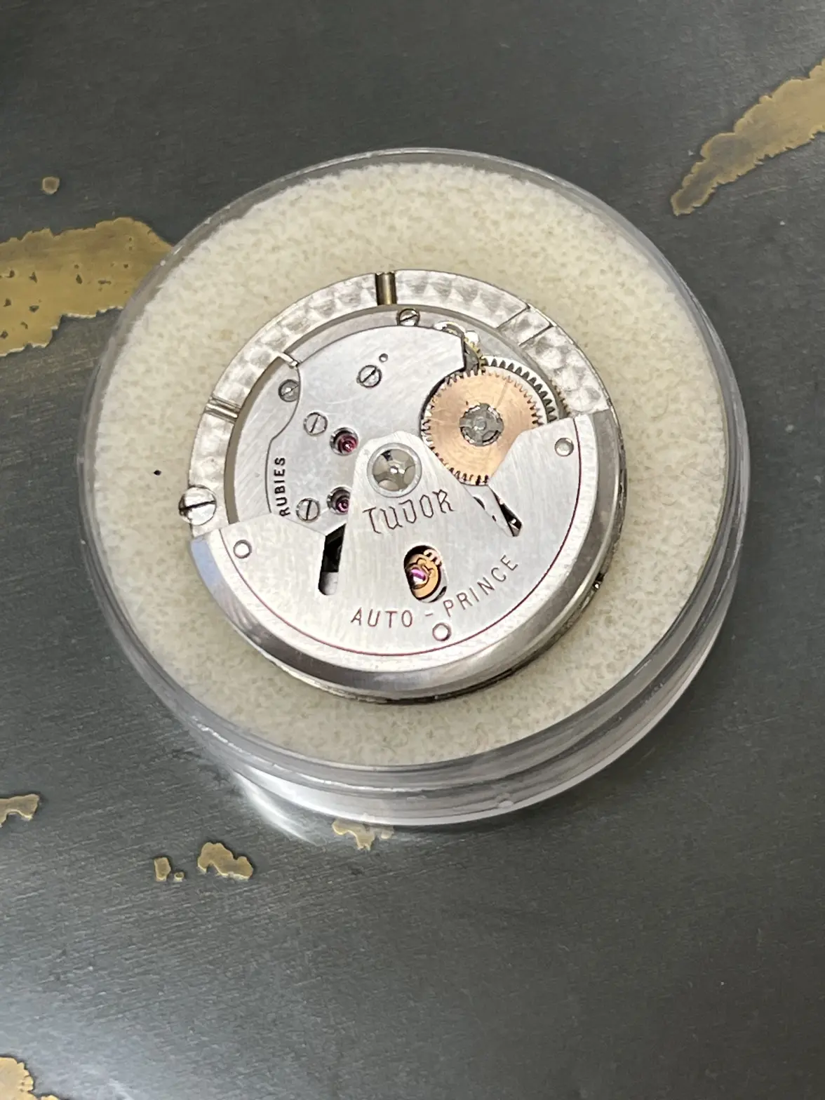 IMG_8380.webp IMG_8380.webp