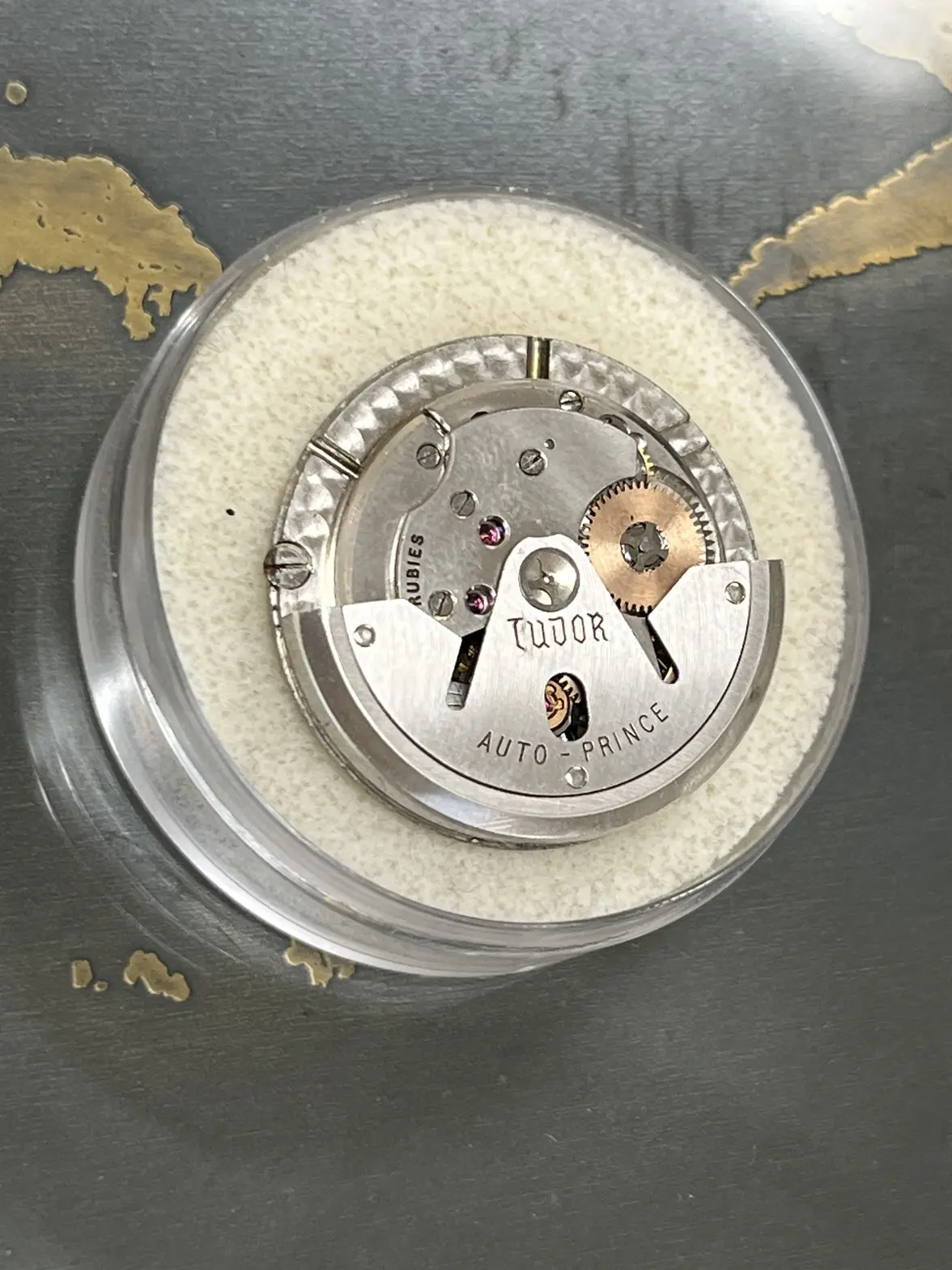 IMG_8381.webp IMG_8381.webp