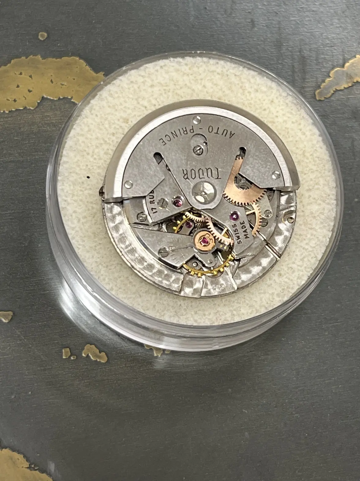 IMG_8382.webp IMG_8382.webp