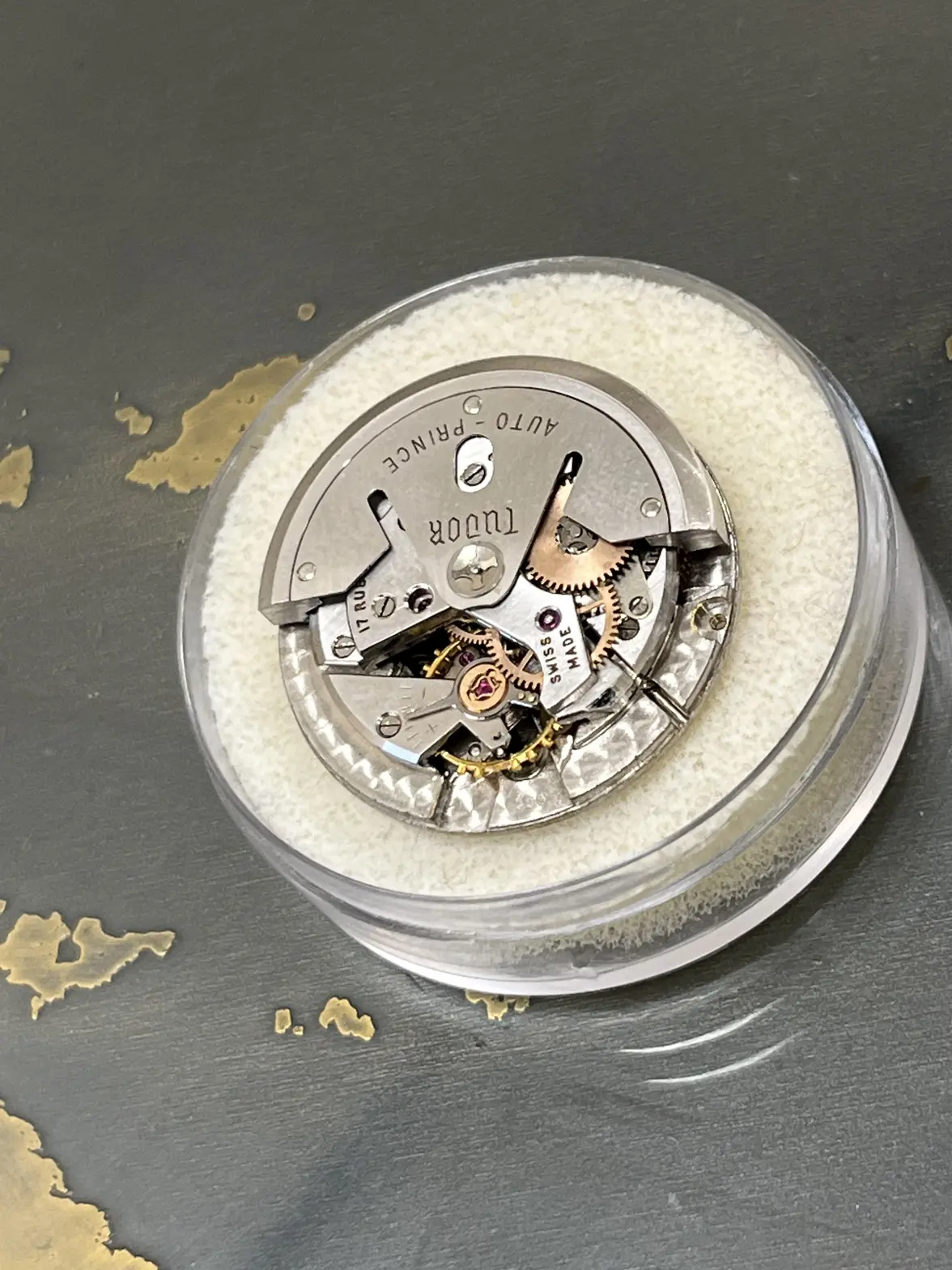 IMG_8383.webp IMG_8383.webp