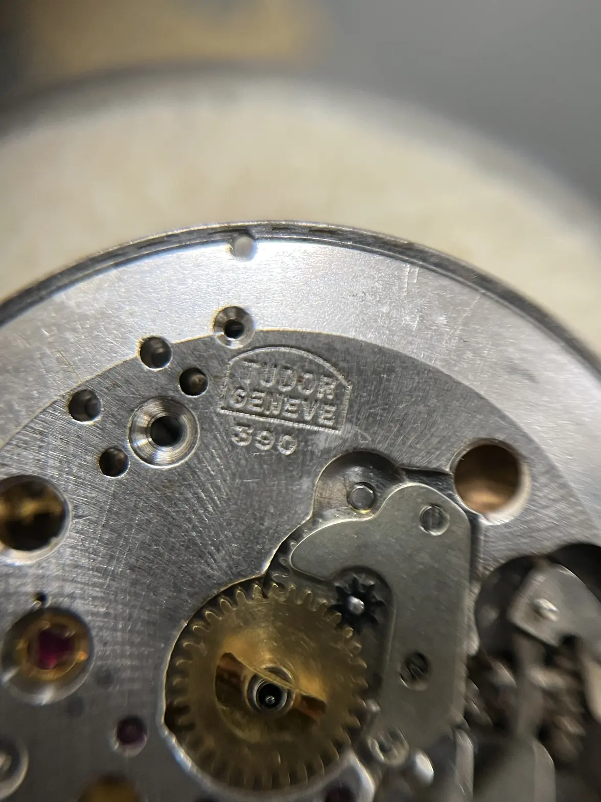 IMG_8378.webp IMG_8378.webp