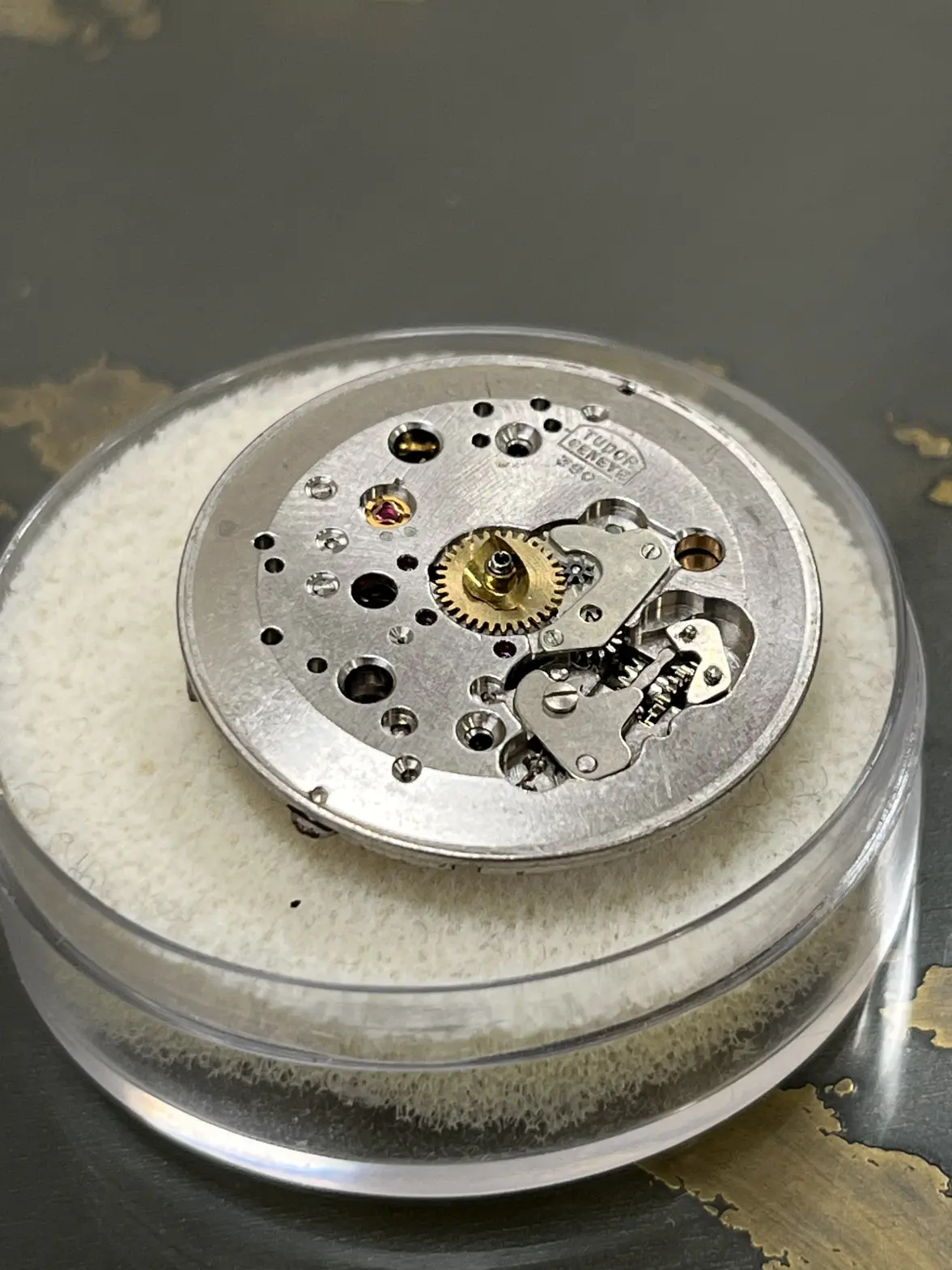 IMG_8379.webp IMG_8379.webp