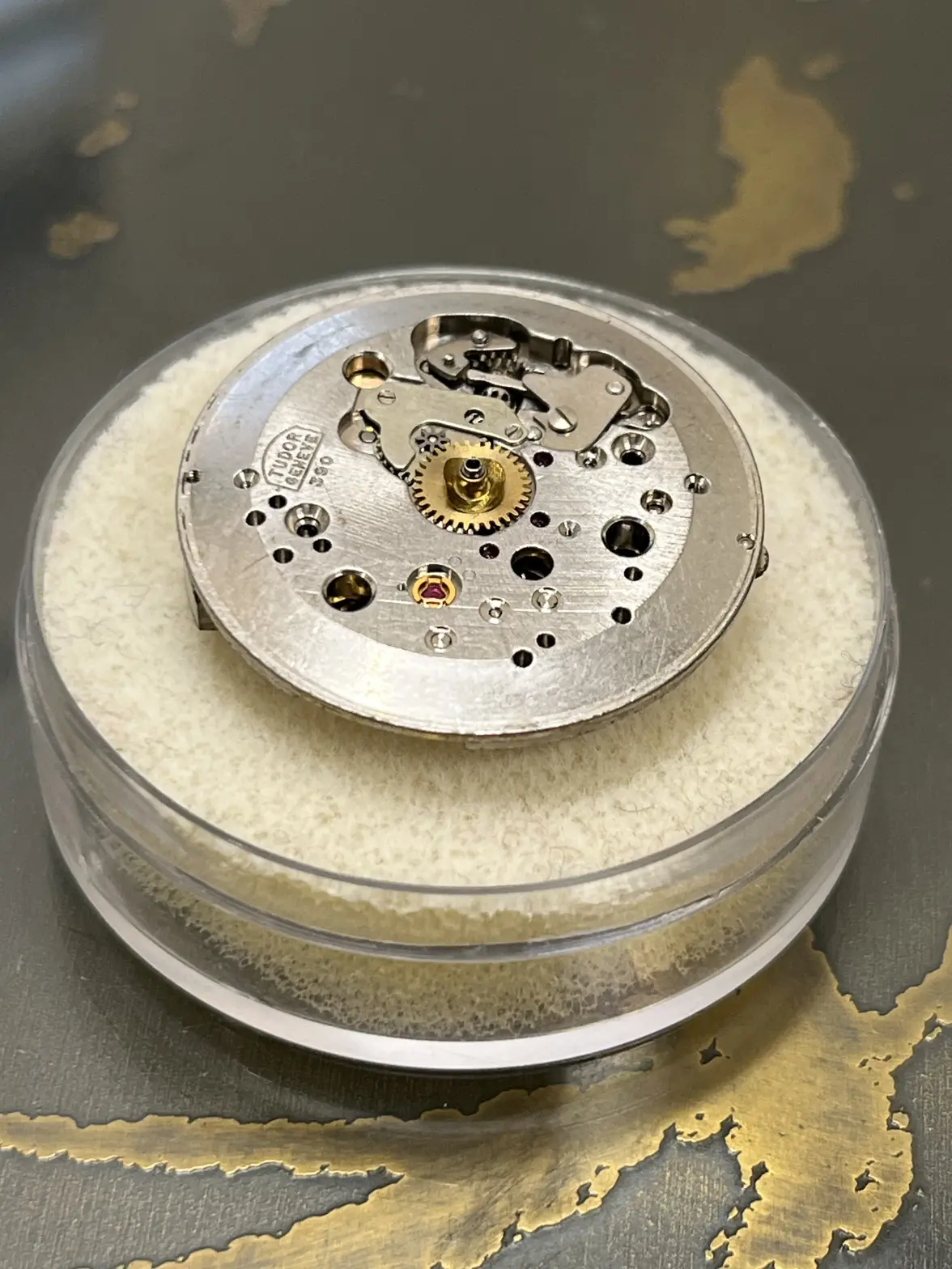 IMG_8363.webp IMG_8363.webp