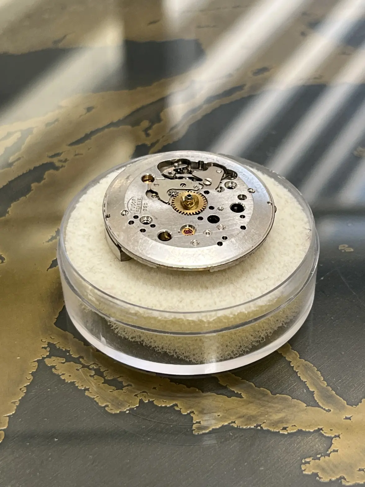 IMG_8367.webp IMG_8367.webp