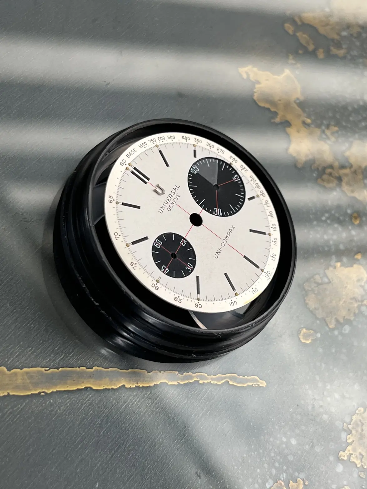 IMG_8455.webp IMG_8455.webp