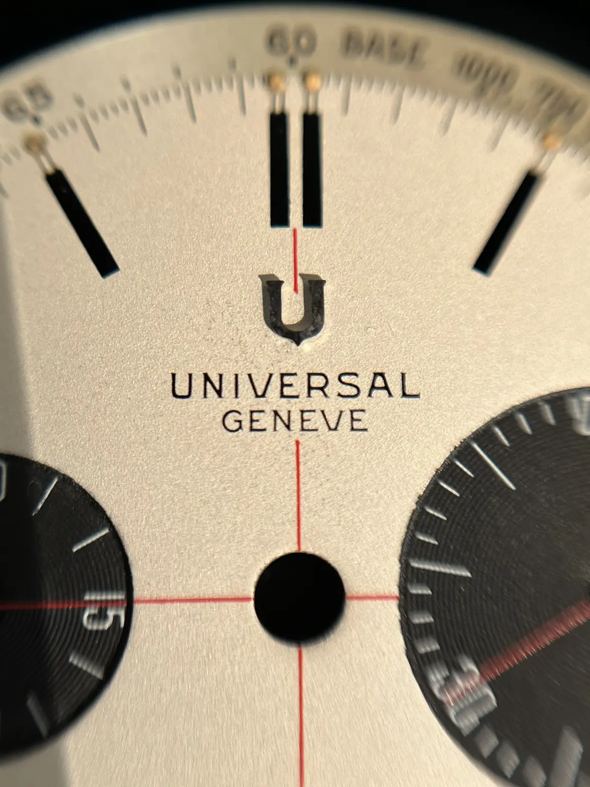 IMG_8442.webp IMG_8442.webp