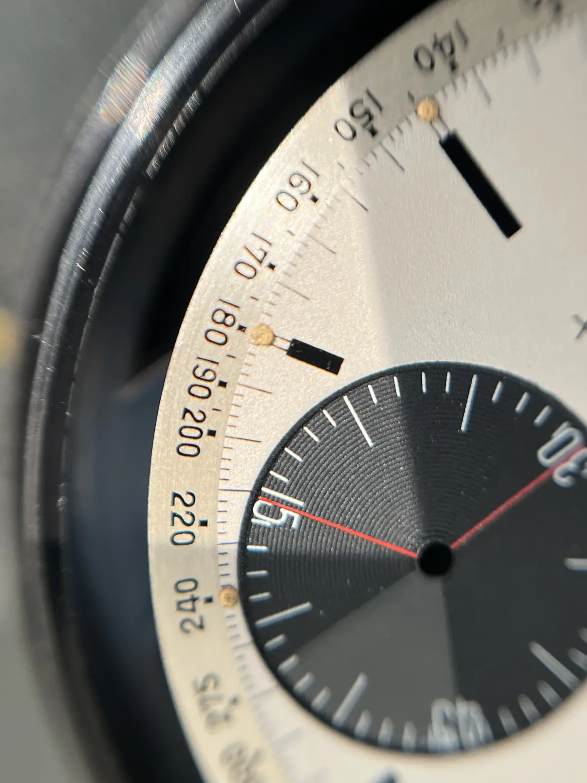 IMG_8446.webp IMG_8446.webp