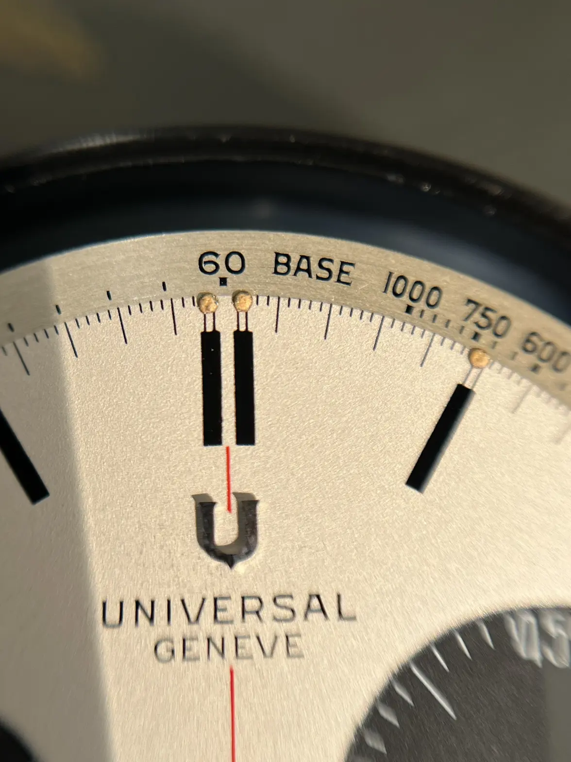 IMG_8443.webp IMG_8443.webp