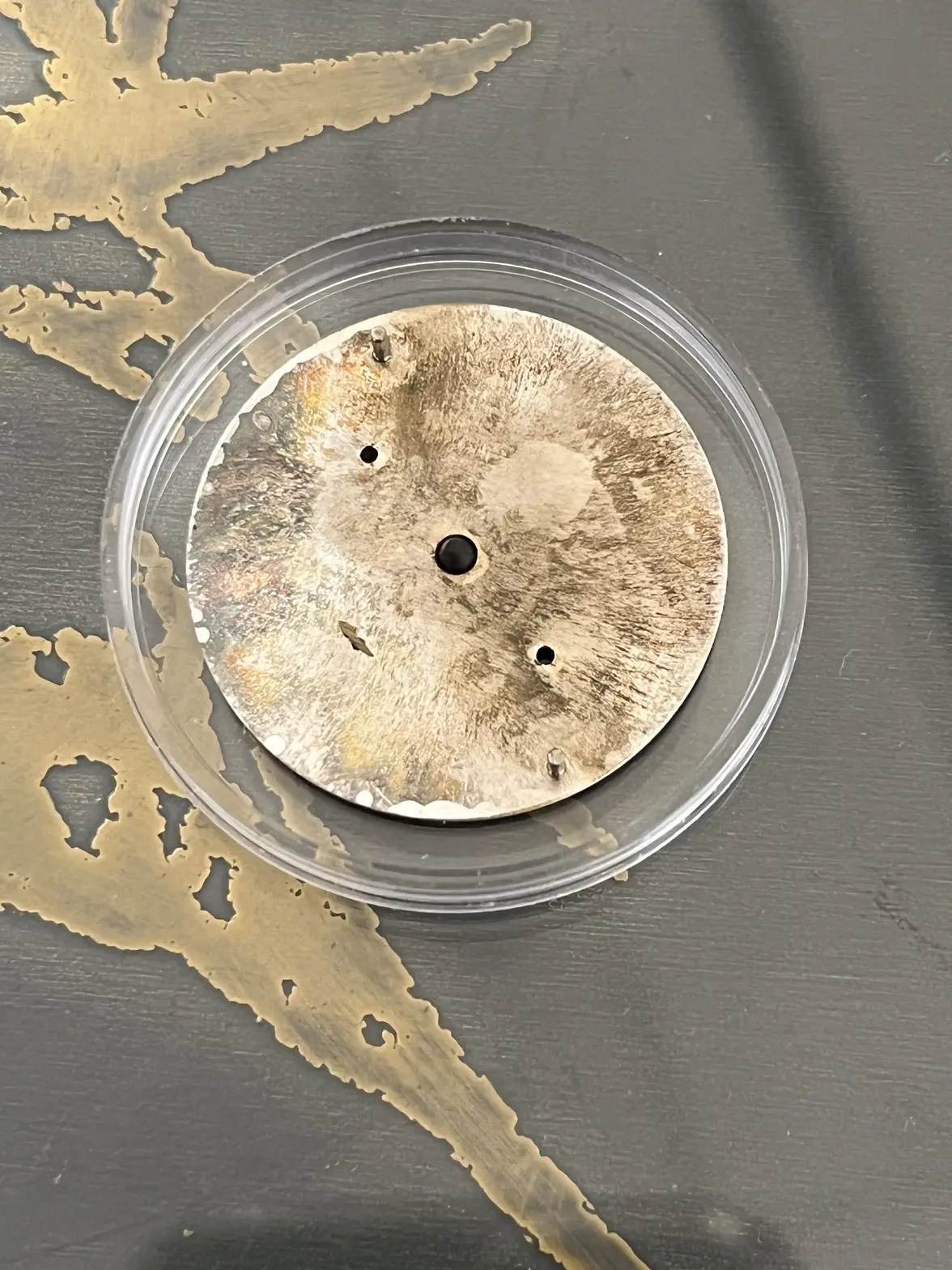 IMG_8458.webp IMG_8458.webp