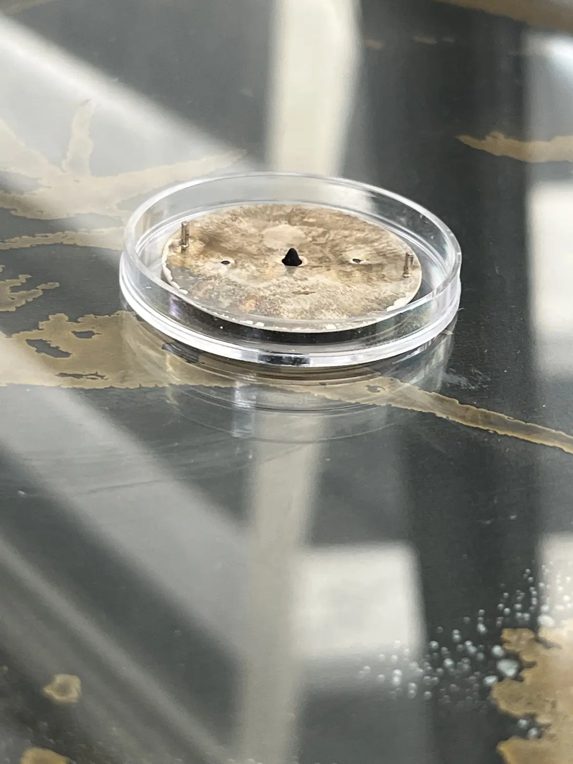 IMG_8459.webp IMG_8459.webp