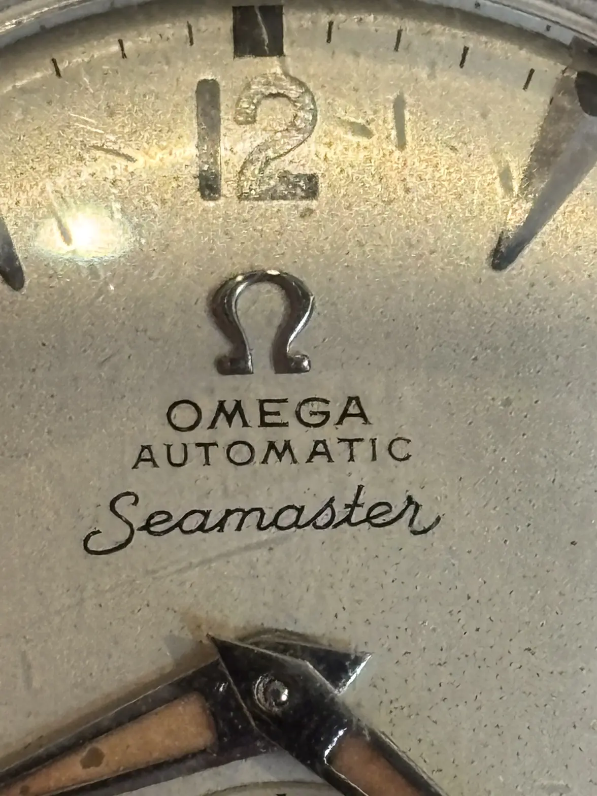 IMG_1081.webp IMG_1081.webp