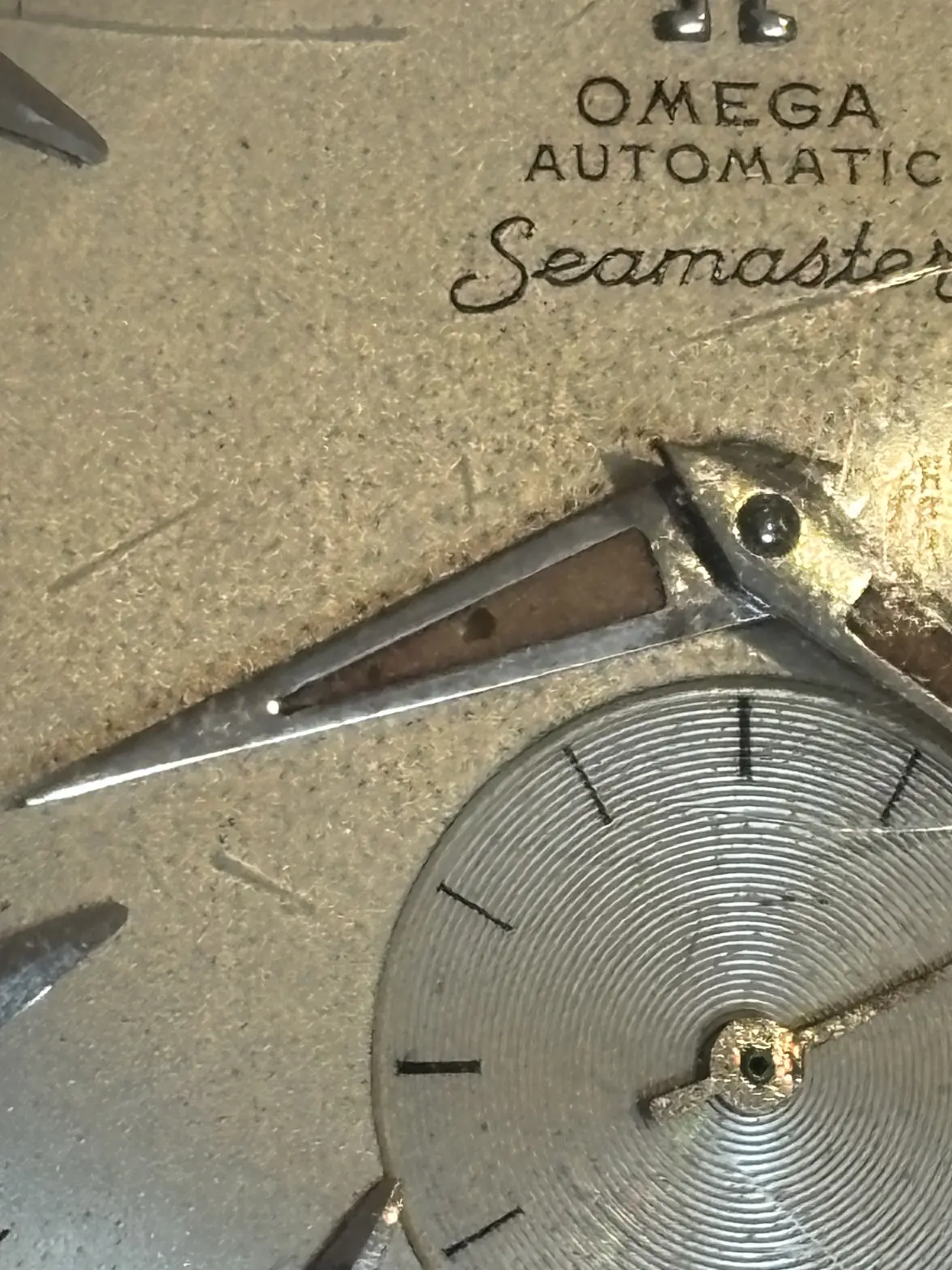 IMG_1080.webp IMG_1080.webp