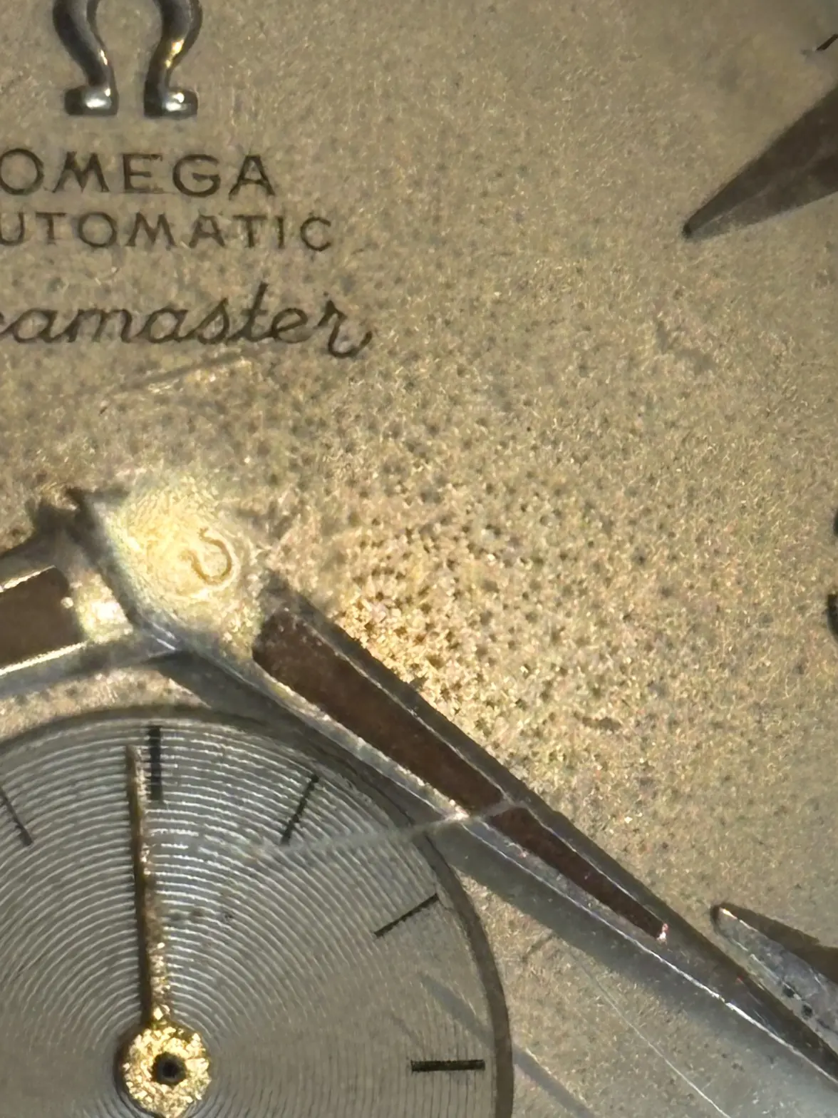 IMG_1079.webp IMG_1079.webp