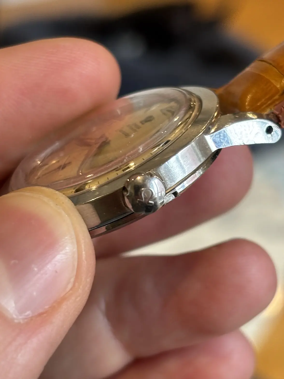 IMG_1078.webp IMG_1078.webp