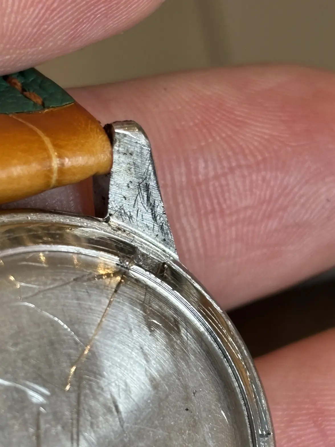 IMG_1072.webp IMG_1072.webp