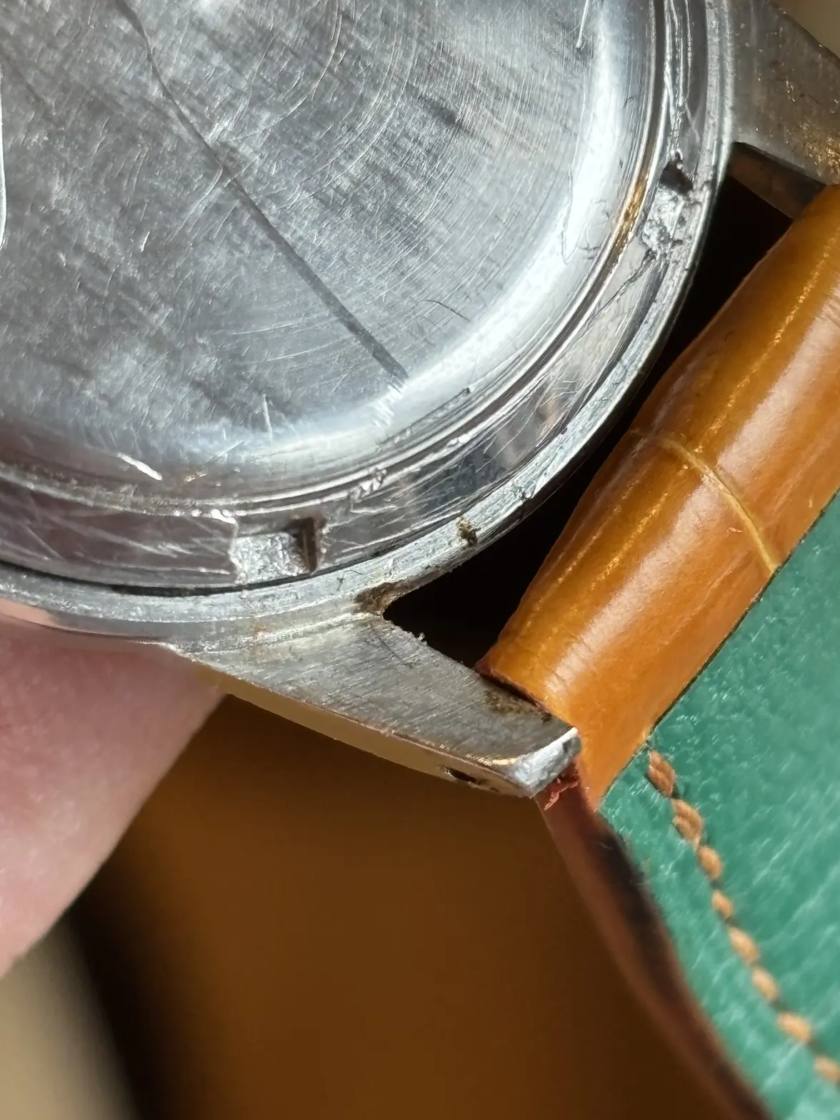 IMG_1071.webp IMG_1071.webp